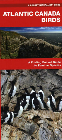 Atlantic Canada Birds: Folding Pocket Guide