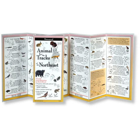 Animal Tracks Folding Guide
