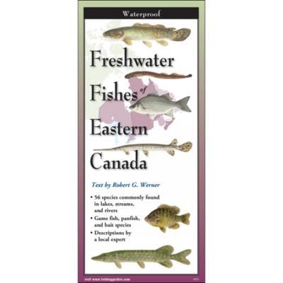 Freshwater Fishes of Eastern Canada