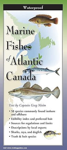 Marine Fishes of Atlantic Canada