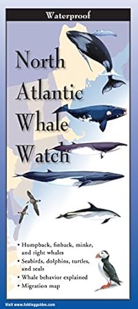 Whale Watch Folding Guide