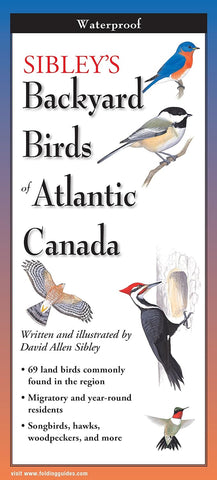 Backyard Birds Folding Guide