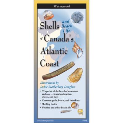 Shells Folding Guide