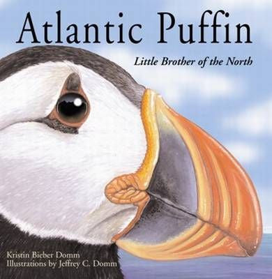 Atlantic Puffin. Little Brother of the North