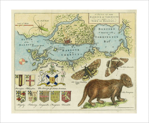 Harbour of Chebucto and Town of Halifax, 1750, Harris