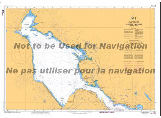 Nautical Chart 4201