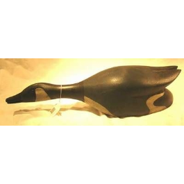 John Ross Canada Goose