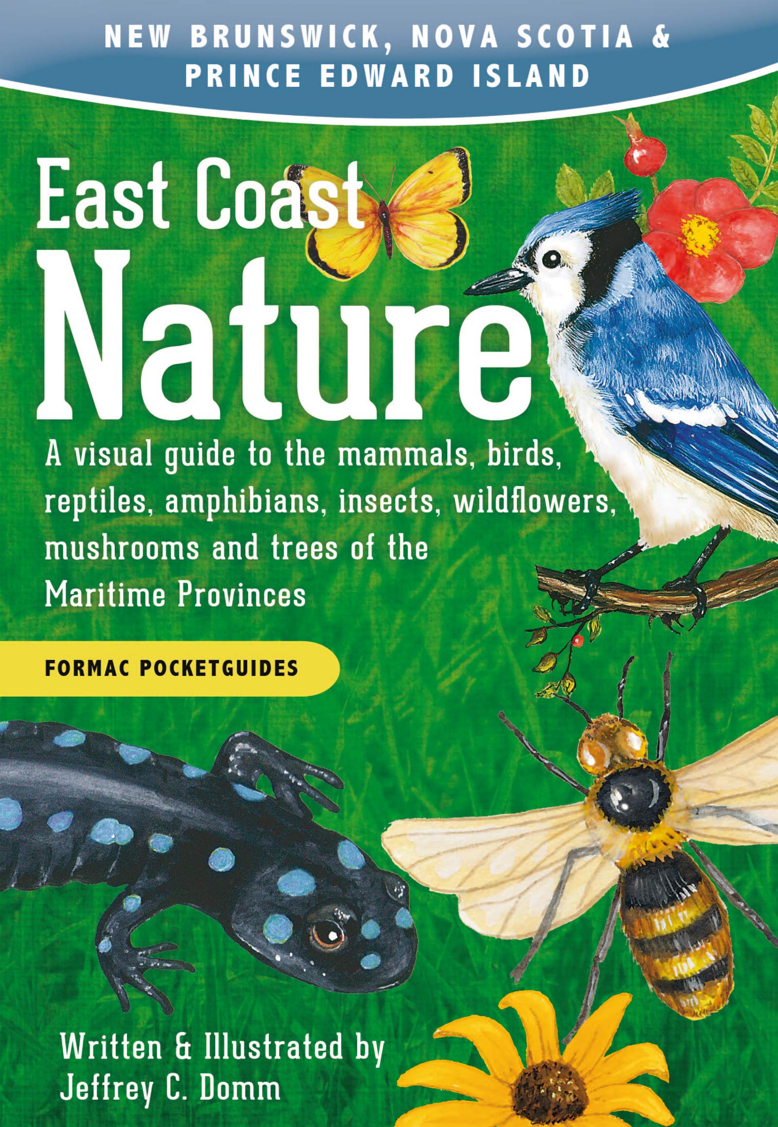 East Coast Nature: A visual guide 2e