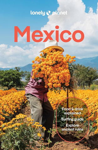 Mexico Lonely Planet 19e