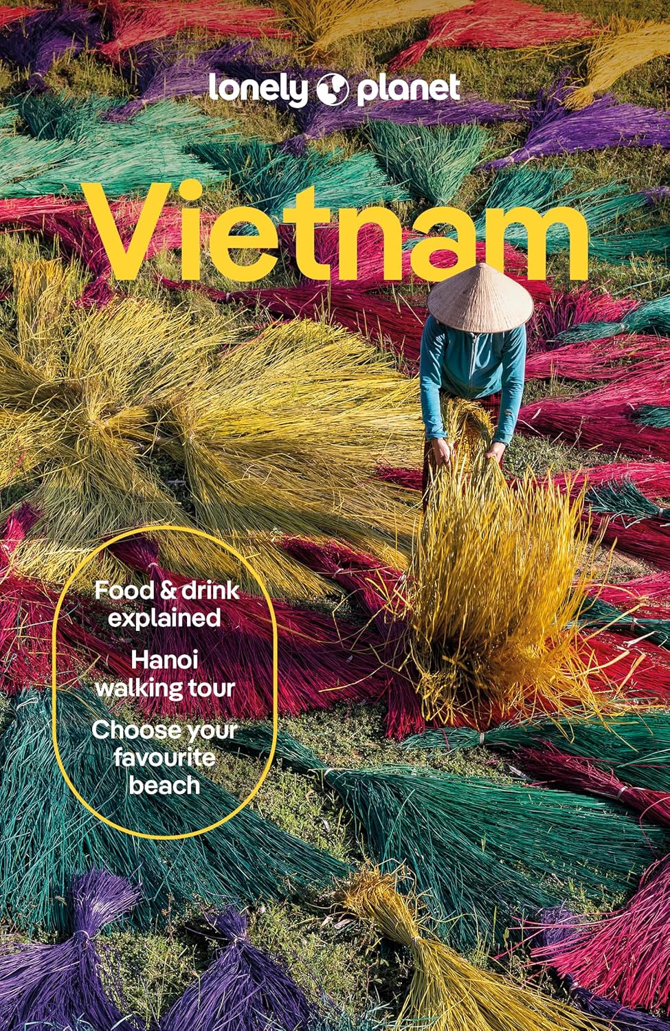 Vietnam Lonely Planet 17e
