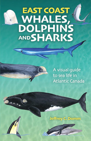 East Coast Whales, Sharks & Dolphins 2e