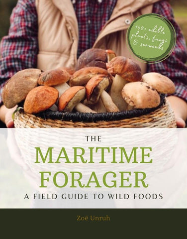 Maritime Forager