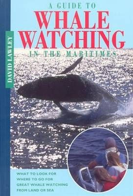 Guide to Whale Watching