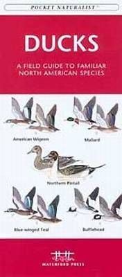 Ducks. Pocket Naturalist Folded Map. laminated