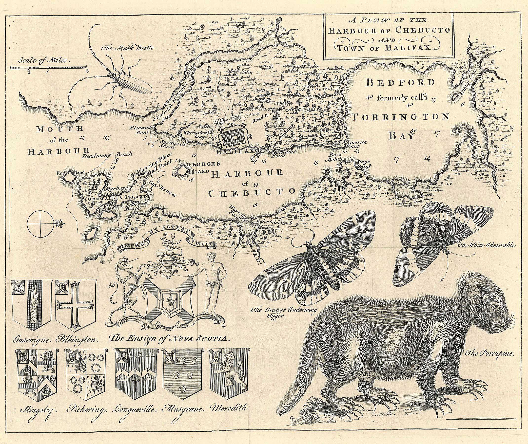 Harbour of Chebucto and Town of Halifax, 1750, Harris