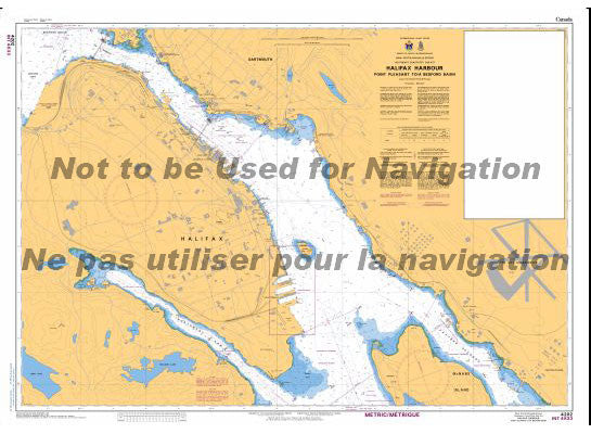 Nautical Chart 4202