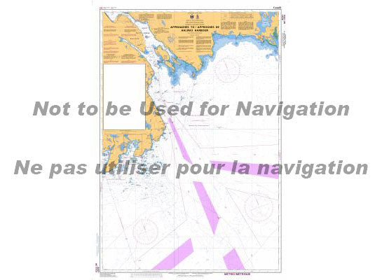Nautical Chart 4237