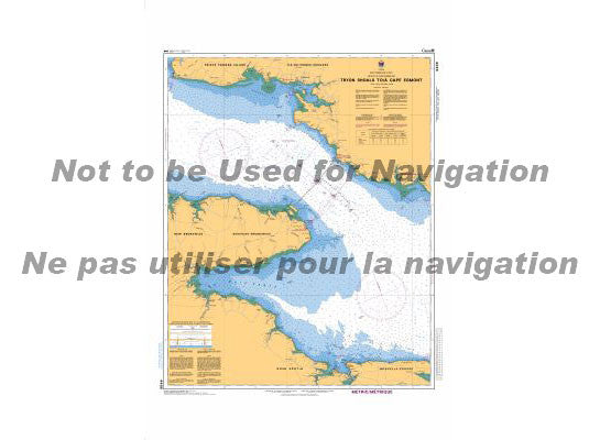 Nautical Chart 4406