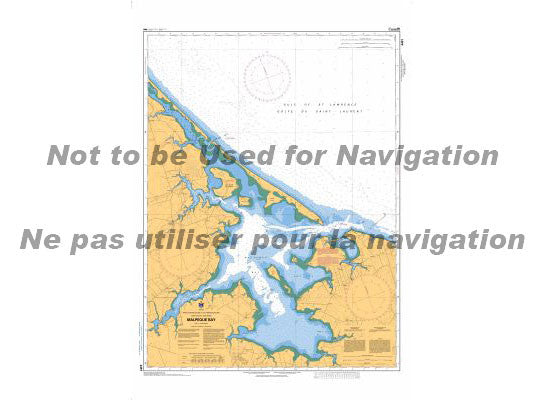 Nautical Chart 4491