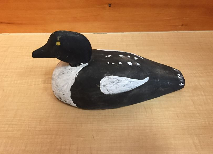 Black & White Duck