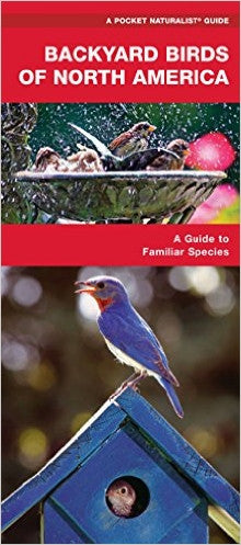 Backyard Birds of North America: A Pocket Naturalist Guide