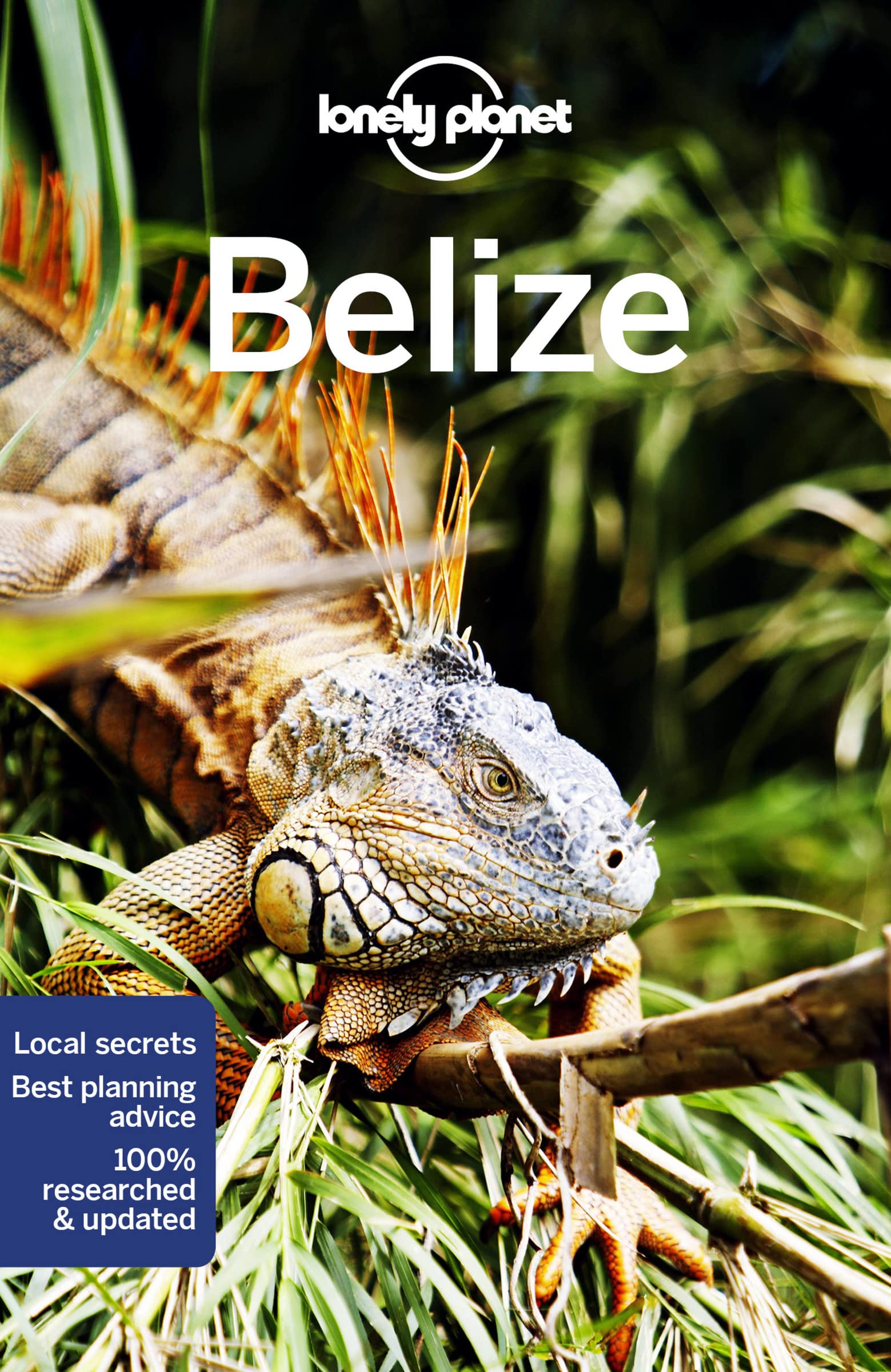 Belize Lonely Planet 8e