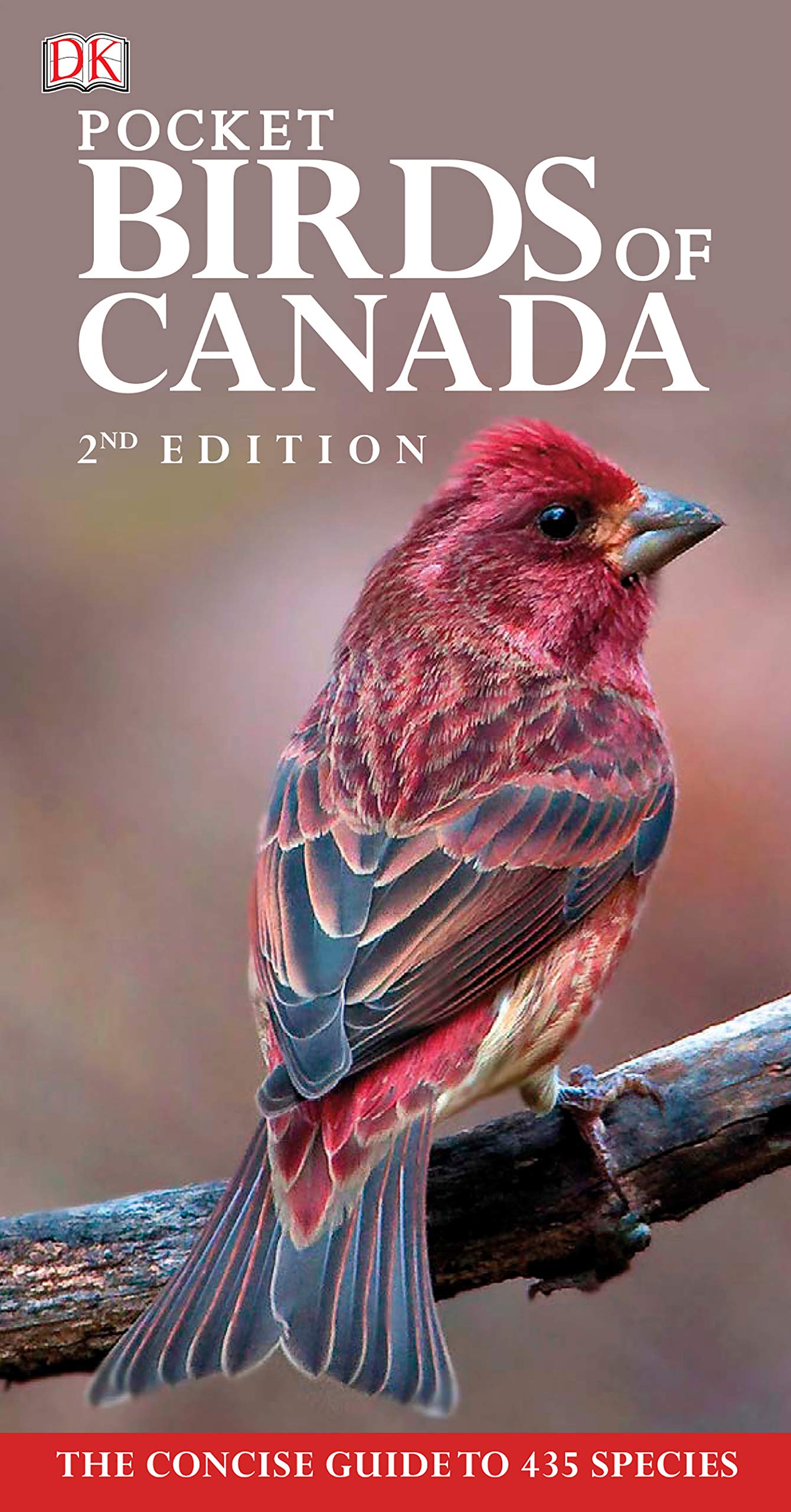 Birds of Canada Pocket guide 2e