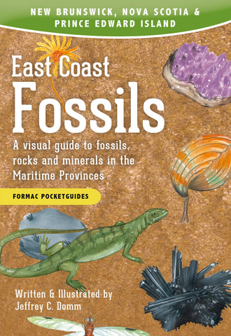 East Coast Fossils: A visual guide 2e