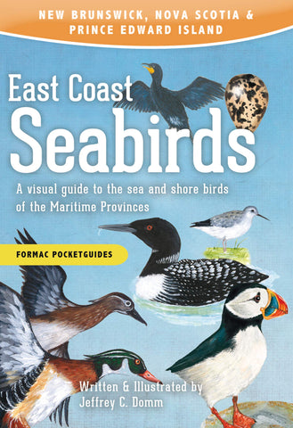 East Coast Seabirds: A visual guide 2e
