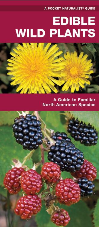 Edible Wild Plants:  A Pocket Naturalist Guide
