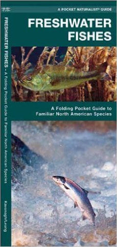 Freshwater Fishes:  A Pocket Naturalist Guide