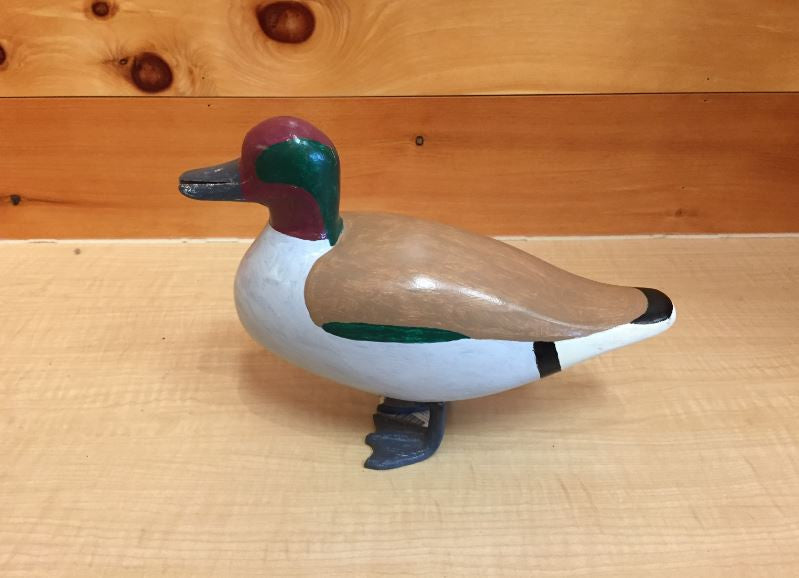 Green-winged Teal by Morris Roy