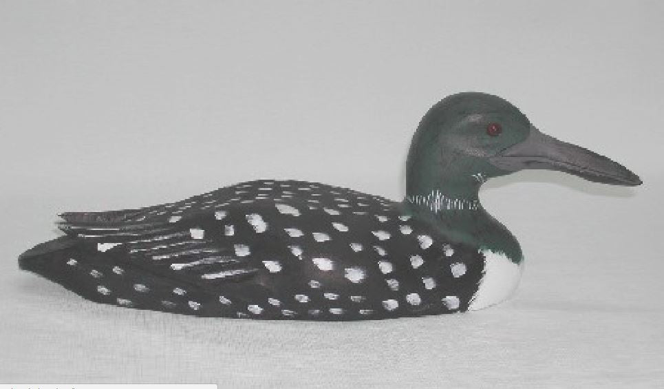 Painted Loon 10"