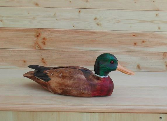 Burnt Wood Mallard Duck 12"