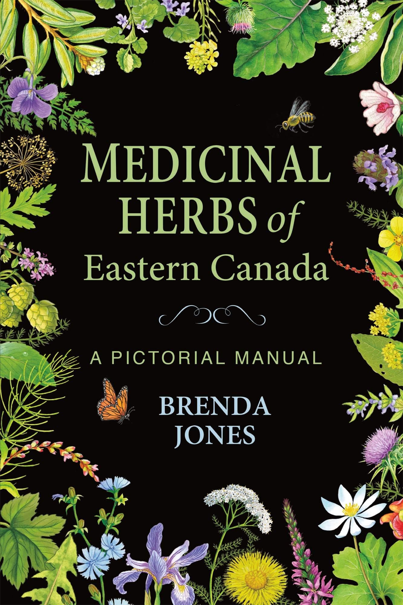 Medicinal Herbs of Eastern Canada