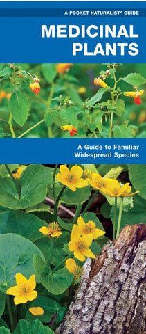 Medicinal Plants:  A Pocket Naturalist Guide