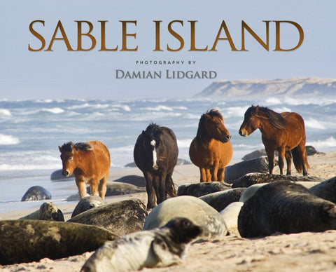 Sable Island