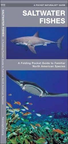 Saltwater Fishes:  A Pocket Naturalist Guide