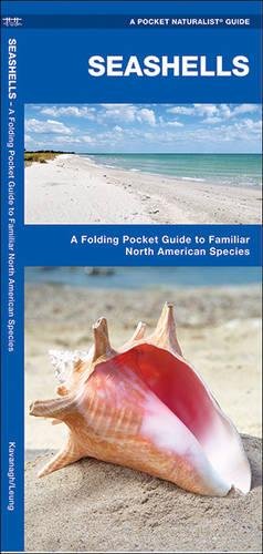 Seashells:  A Pocket Naturalist Guide