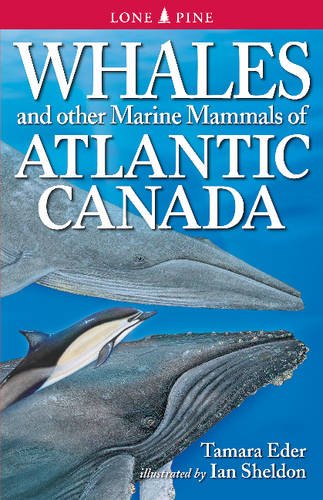 Whales & Other Marine Mammals of Atlantic Canada