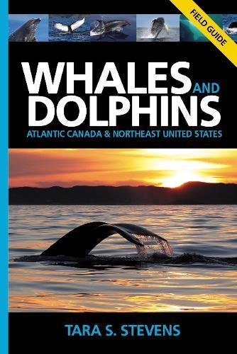 Whales and Dolphins of Atlantic Canada & Northeast USA